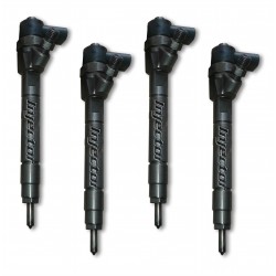 0445110025 BOSCH Vstreky použité