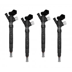 28424049 DELPHI Vstreky použité