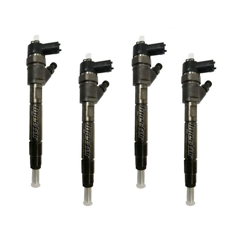 Renault Scenic 1.9 dCi RX4 75 kW 102 HP BOSCH Vstreky