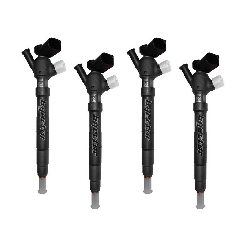 Vw Polo 1.4 TDI 66 kW 90 HP DELPHI Vstreky